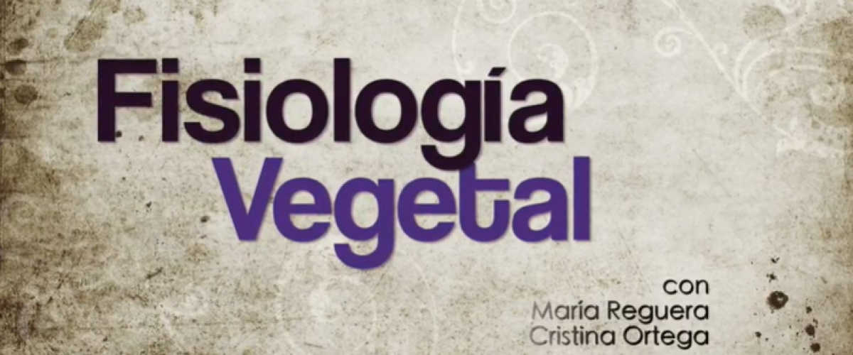 2045_Jovenes-investigadores_12_Fisiologia-vegetal