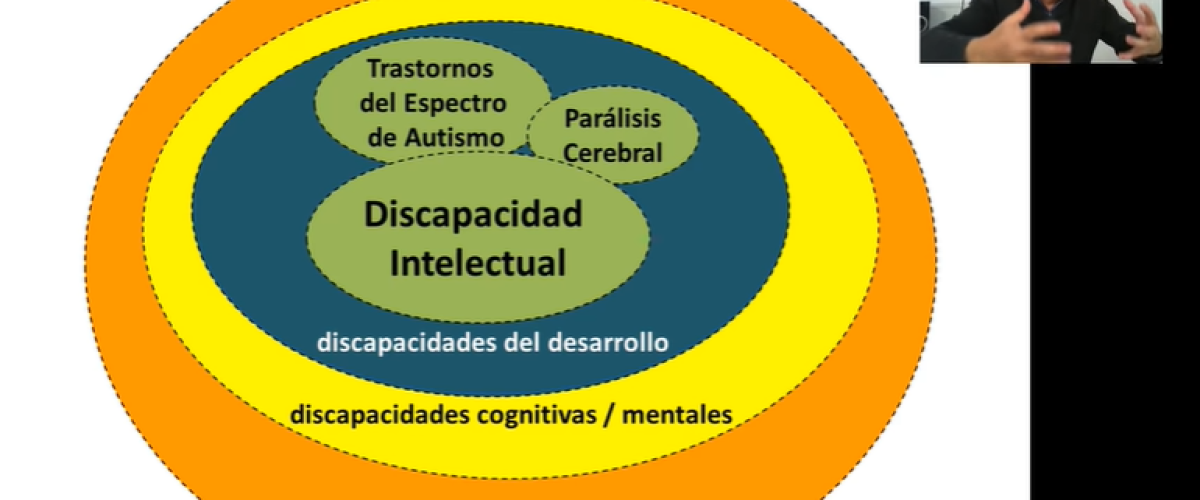 4451_La-discapacidad-intelectual-_Javier-Tamarit_Enero-2018