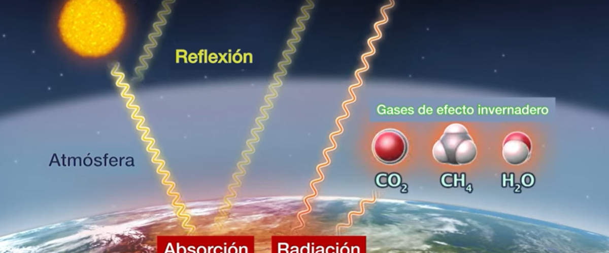 6668_El efecto invernadero_Video HHMI BioInteractive