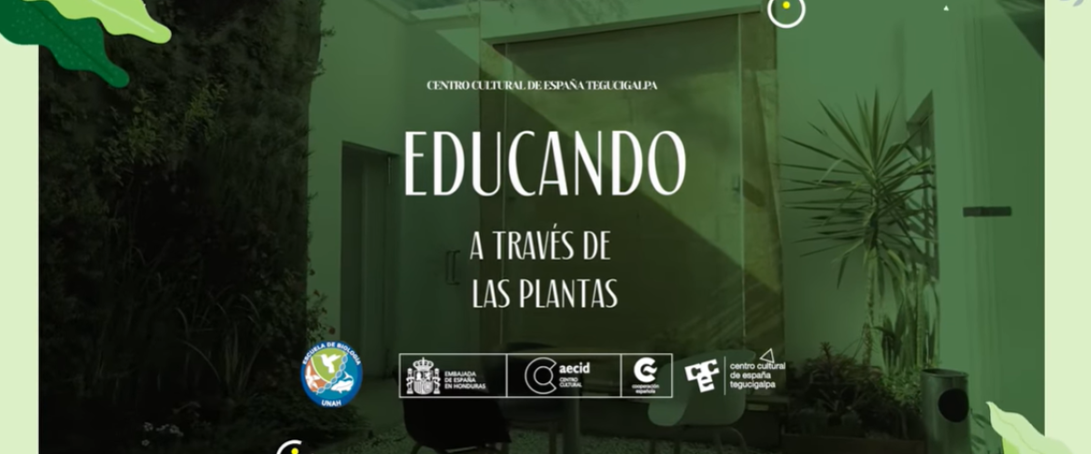 6723_Flor de muerto-Sempasúchil-Tagetes erecta