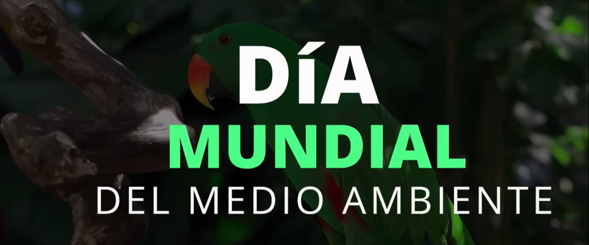 6857_Día Mundial del Medio Ambiente