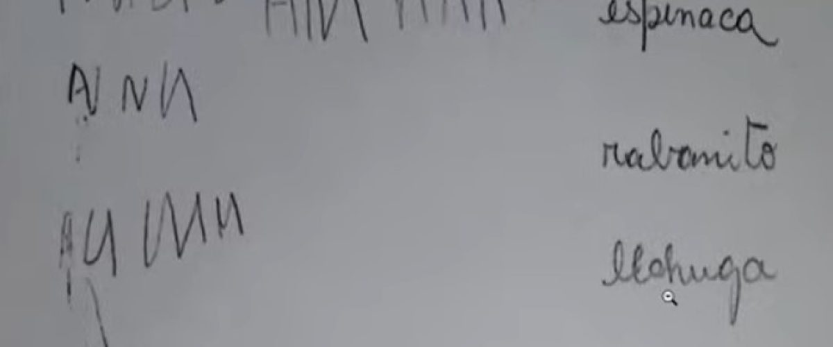 7576_Jornada 1_391_Comenzar a escribir en el nivel inicial_cuándo_cómo_y_por qué_