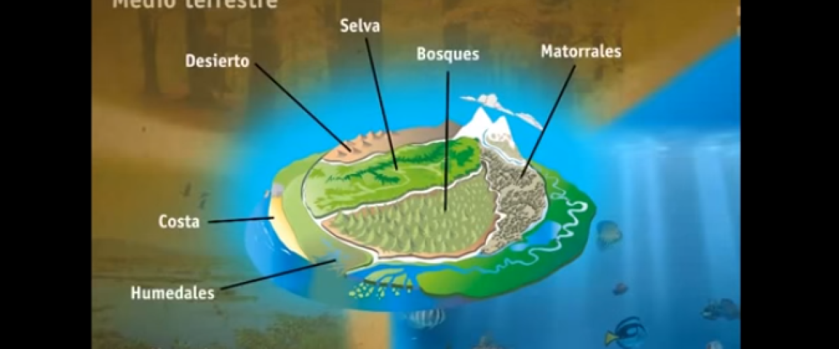 886_Ecologia-y-ecosistema