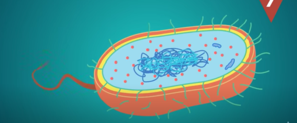 Cosas-de-biologia-que-debes-saber-para-no-quedar-mal