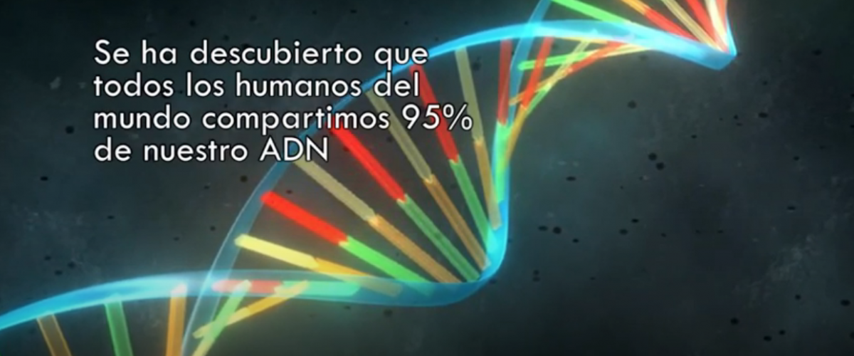 Diversidad-humana-MNCM