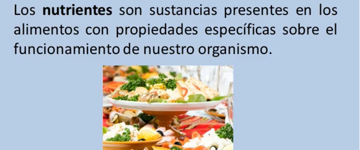 Los-nutrientes-y-sus-funciones